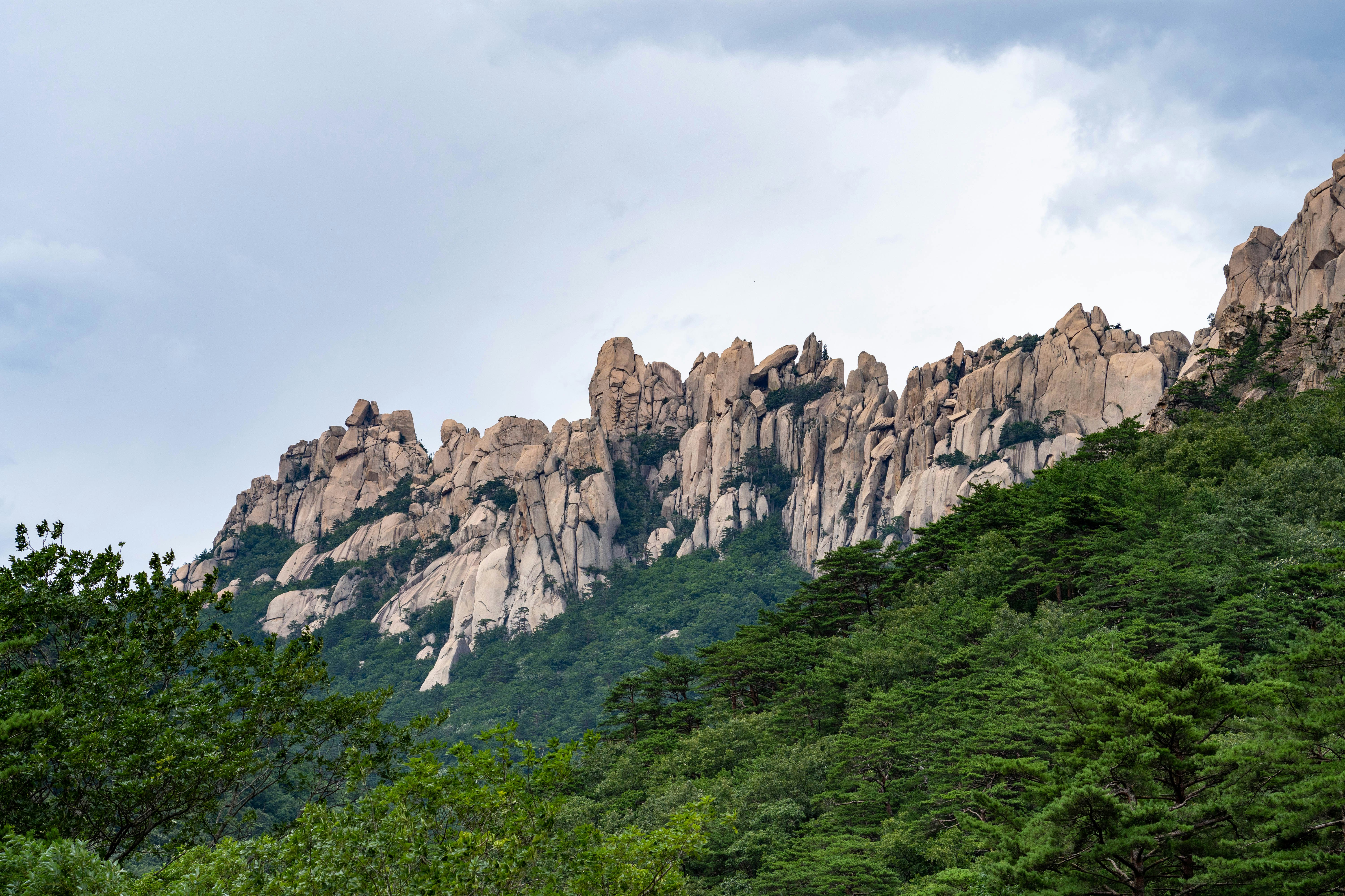 부모님과 국내 여행