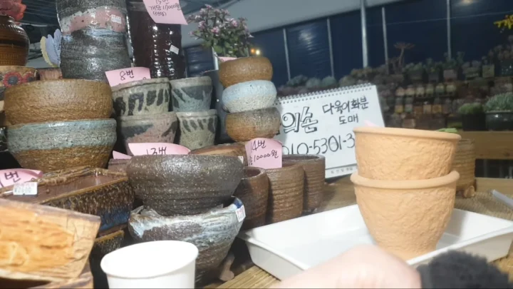 나의손다육이화분도매