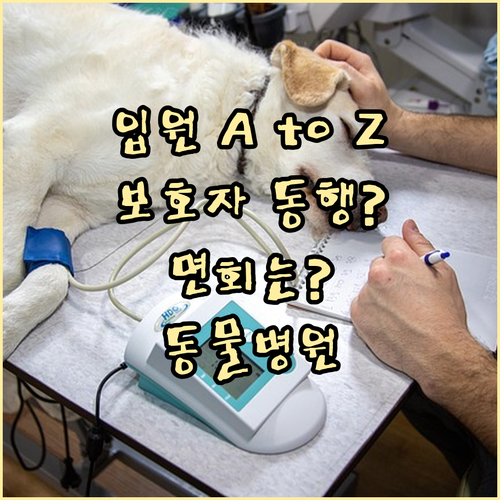 동물병원 입원 A to Z: 보호자