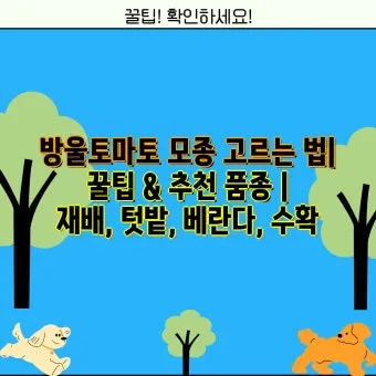 모종 고르는 법 줄기 굵기 잎색 뿌리상태 병해 흔적 확인_11