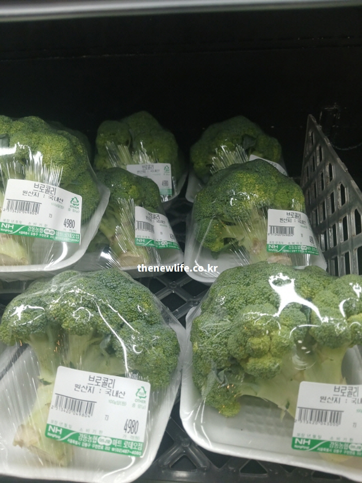 신선도가 우수하여 영양 성분이 풍부하게 보존된 마트 진열 브로콜리 실물 사진