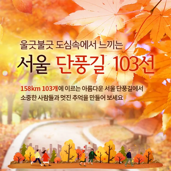 서울 단풍길 추천