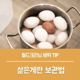 삶은 계란 보관법과 신선도 유지 비결_17