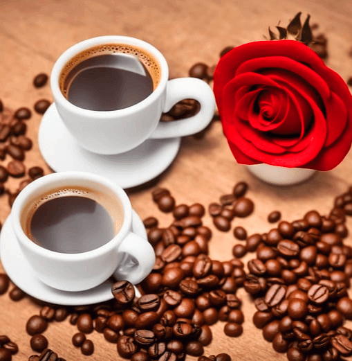 하얀 커피잔 2개에 아메리카노 커피가 가득 들어있고 옆에는 빨간 장미 한 송이가 있다. 식탁 바닥에는 고동색 원두들이 가득하다.