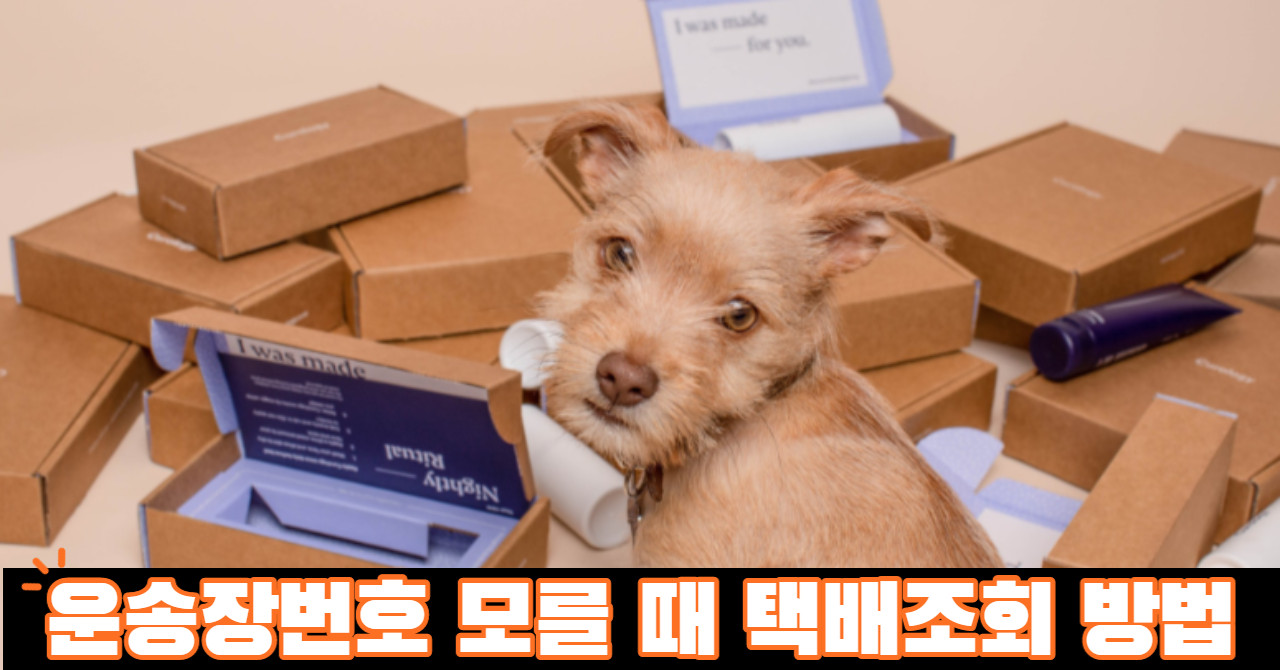 운송장번호 모를때 택배 조회 방법