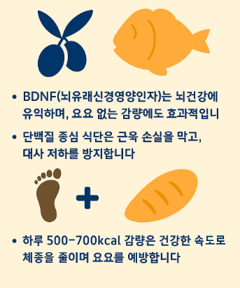 뇌를 위한 영양, 몸을 위한 균형