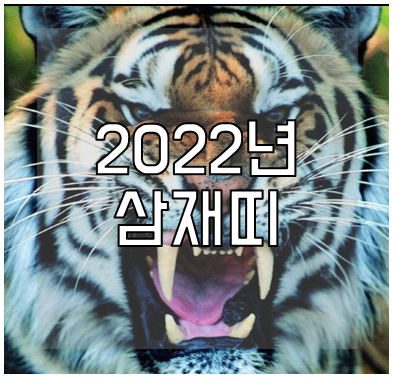 2022년 삼재띠