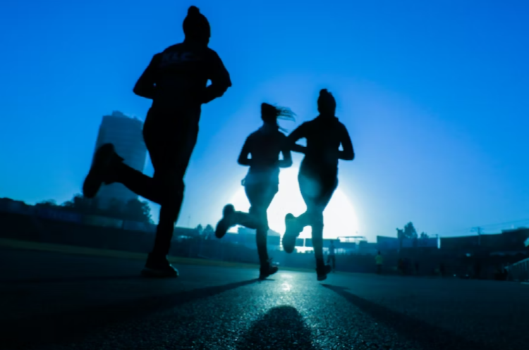 프로아나 거식증