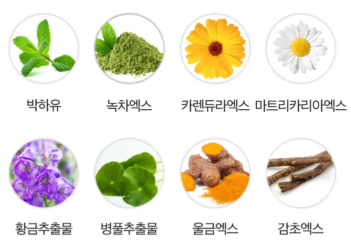 리디에뜨 리디잇 치약 내돈내산 후기 효과 부작용 가격 사용 방법