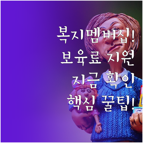 맞춤형 급여 안내 복지멤버십 도입에 ..
