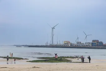 제주 월정리 해변 감성 여행지 카페 거리 소개_19