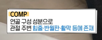가자추출물 효능 