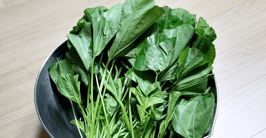 그릇에 담겨 있는 아욱