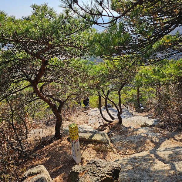 홍성용봉산-하산길