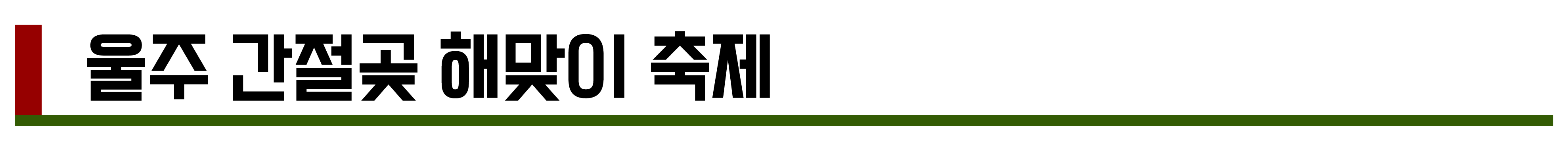 2024년 12월 축제 총정리