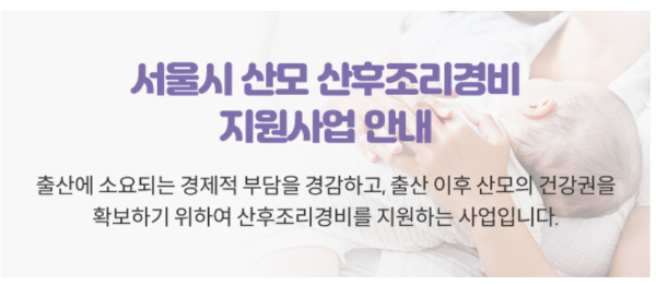 서울시 산모 산후조리경비 지원