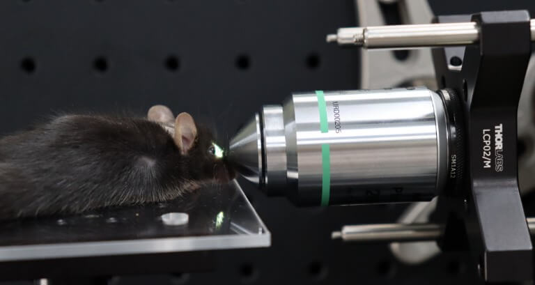 아이빔테크놀로지 공모주 청약