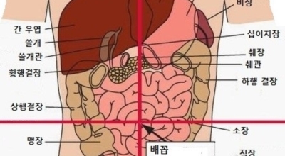 옆구리 통증 이미지