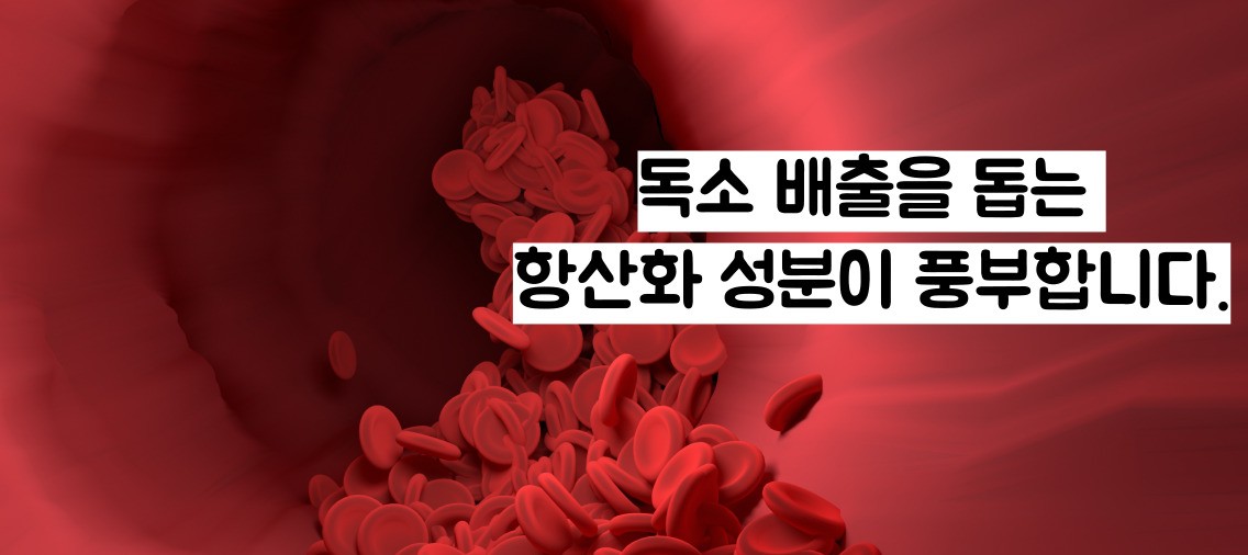 아보카도 효능
