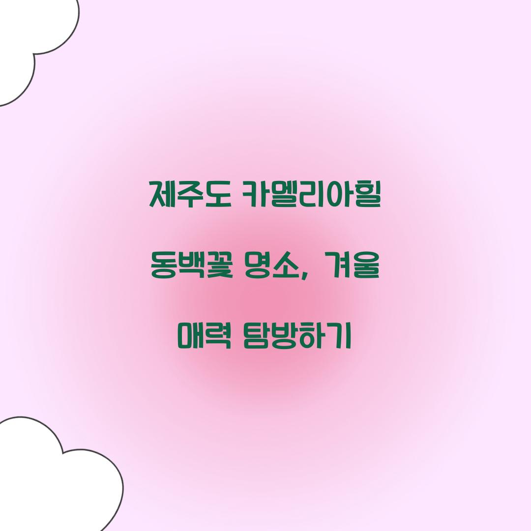 제주도 카멜리아힐 동백꽃 명소