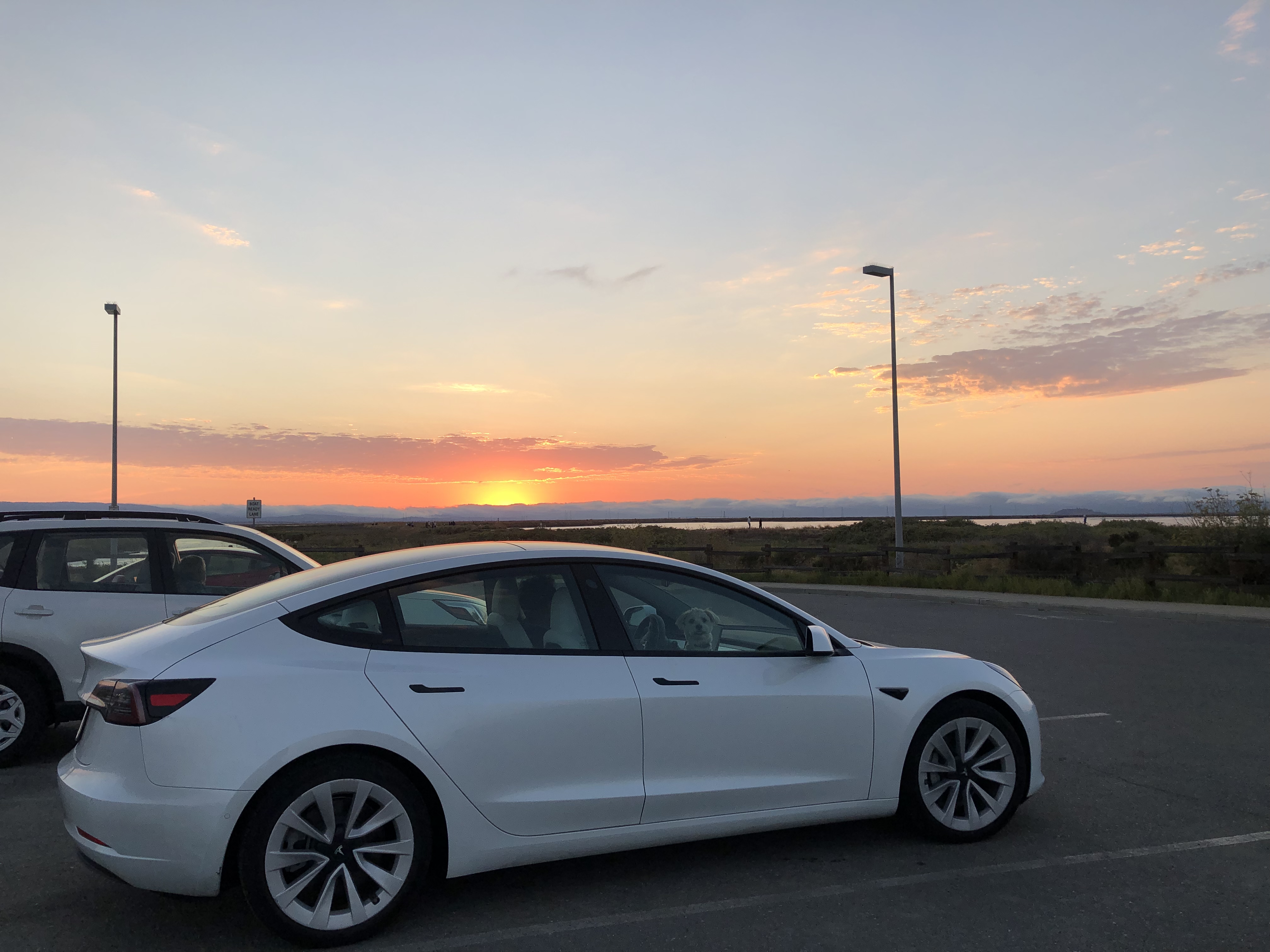 로보택시 상용화 전망과 투자 기회를 분석합니다