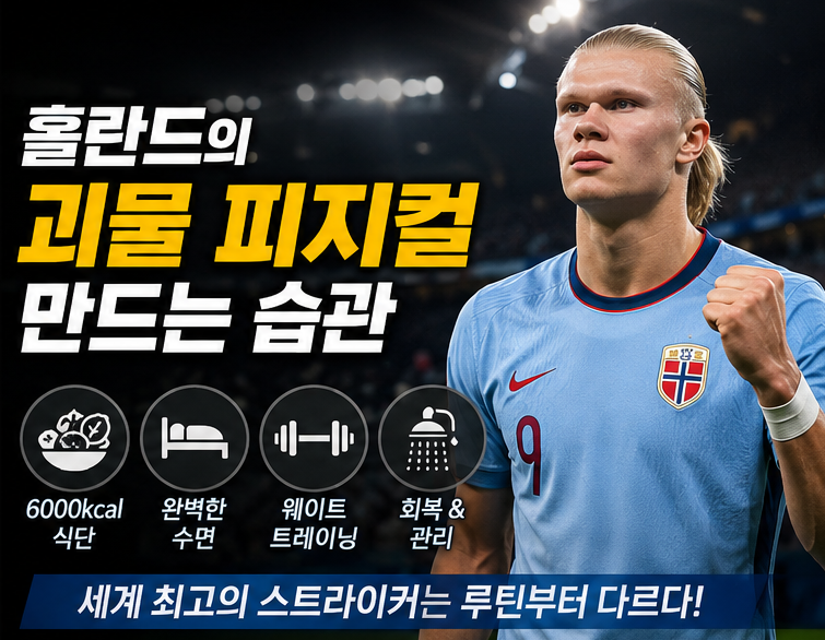 홀란드