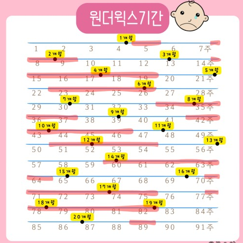 원더윅스 예측할 수 있는 방법
