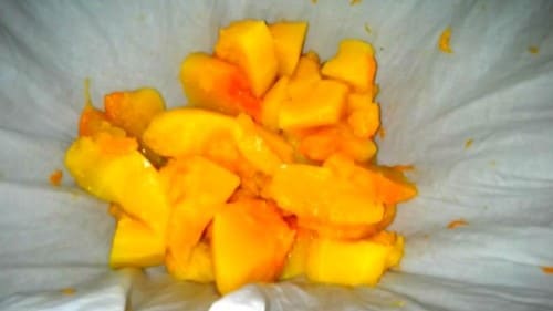 늙은호박-호박생즙-짜내기