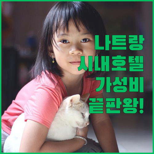 2025년 나트랑 시내 호텔 아직도 ..