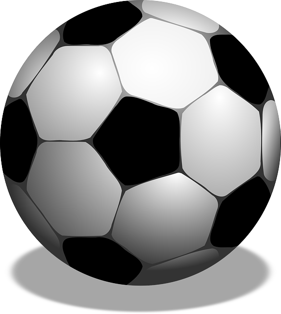 네슨 아이콘 매치 예매