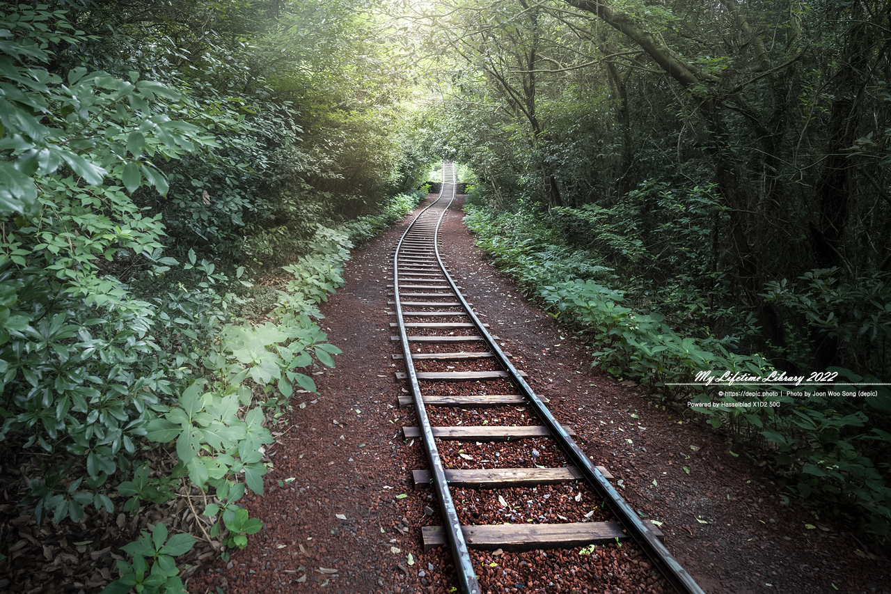 #제주 #곶자왈 #산양큰엉곶 #2022제주여행