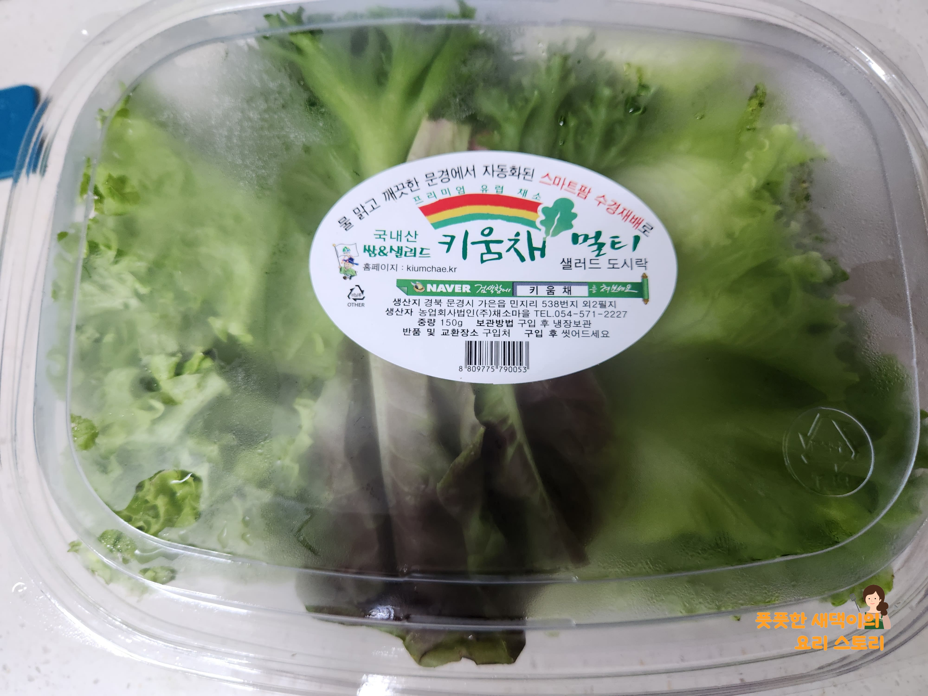 샐러드야채 준비하기