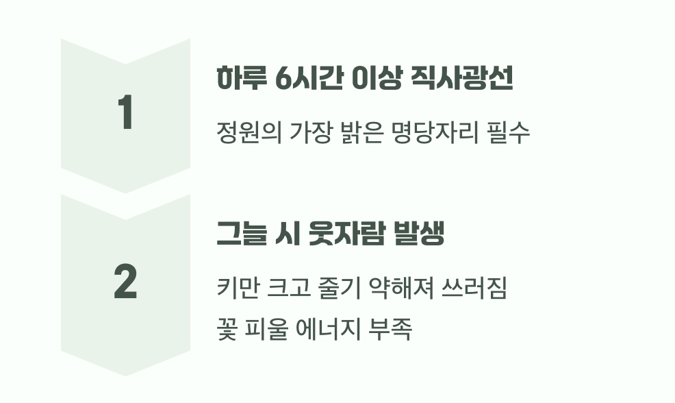 이 친구에게 꼭 필요한 단 한 가지