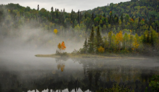 인터넷은 자연스러운 공기