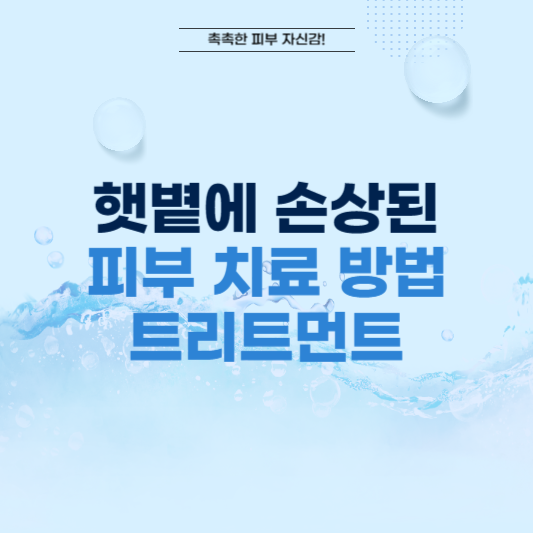 썸-햇볕에 손상된 피부 치료방법