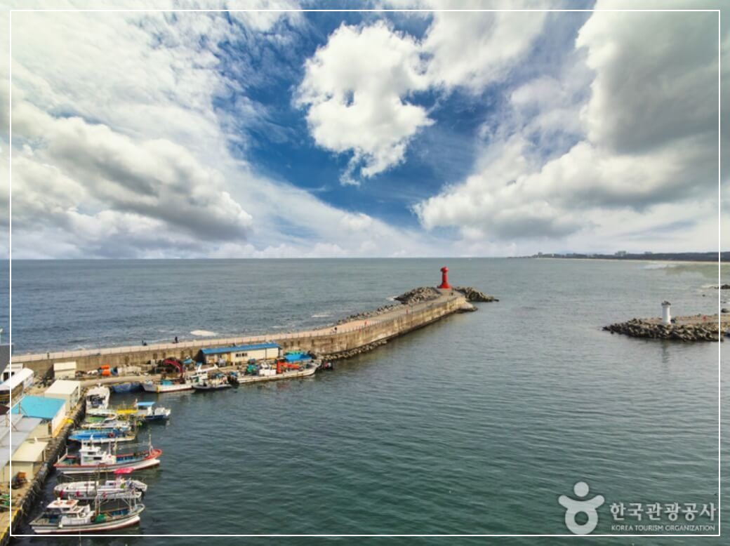 양양 가볼만한곳 베스트10 남애항