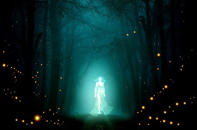 무주 반딧불축제 관련 이미지