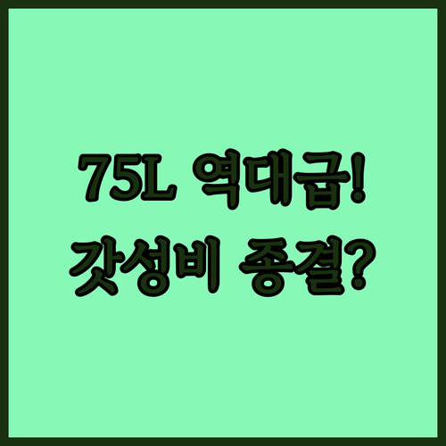 리빙코리아 75L 대용량 전기오븐 O..
