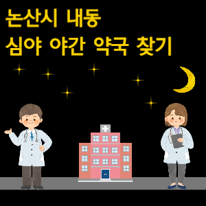 논산시 내동 심야 야간 약국 찾기