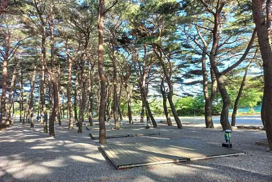 양양 솔바다 캠핑장