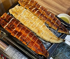 삼색장어