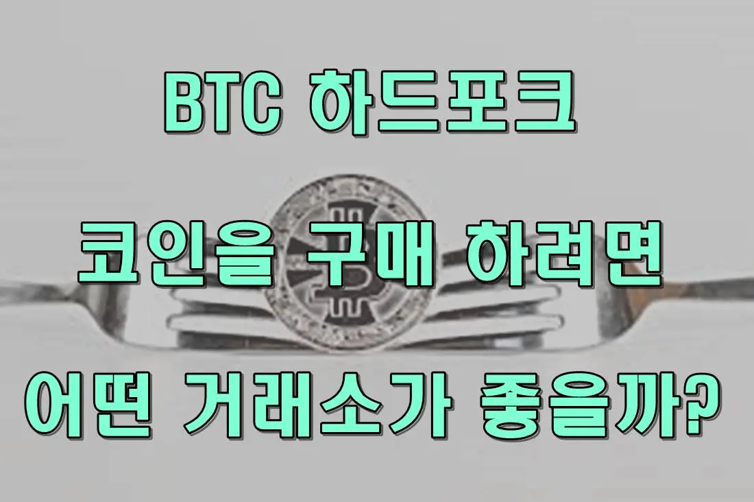 btc 하드포크 코인 구매하려면