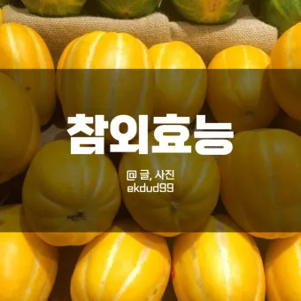 참외 효능 및 영양 정보 섭취 효과 정리_18