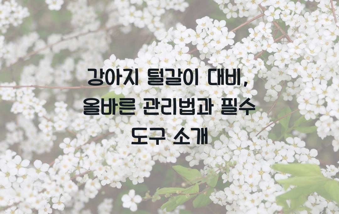 강아지 털갈이 대비: 올바른 관리법