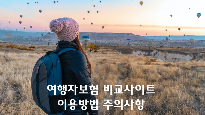 여행자 보험 비교 사이트를 이용하는 방법과 주의점