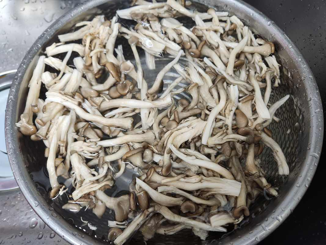 버섯 뜯어주기