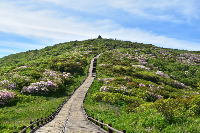 지리산 정상으로 가는 산책로