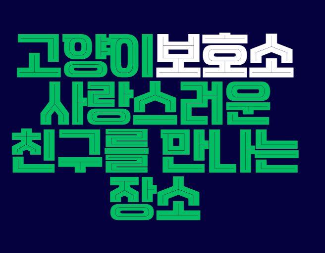 고양이보호소