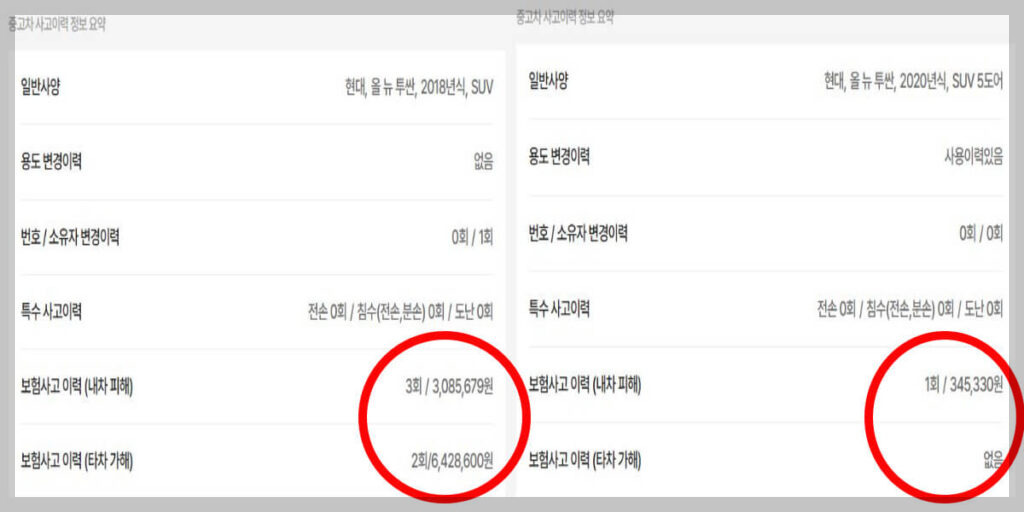 보험 이력