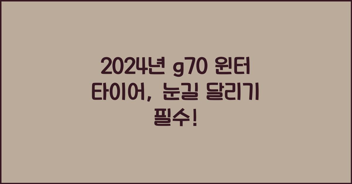 g70 윈터 타이어